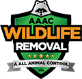 Menomonee Falls Wildlife Removal